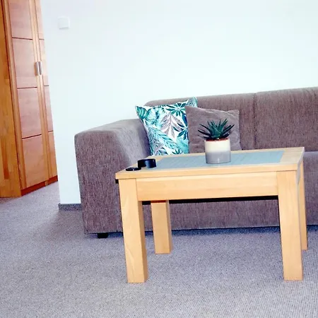 Vista & Wellness * Миколайки